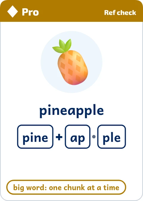 Stick Tap Words Pro phonics word card for pineapple, Ref check side